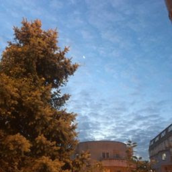 Meet your Posher, Анастасия - Picture 1 of 1